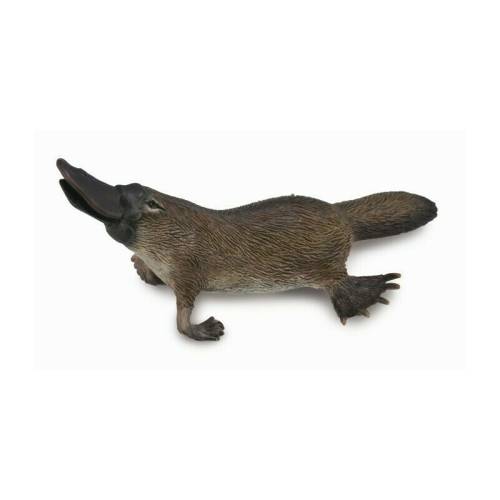 Collecta - Figurina Platypus M