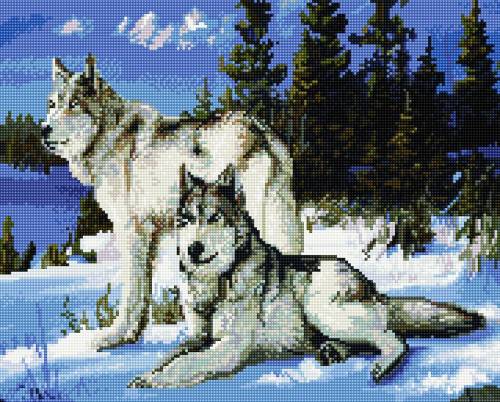 Set Goblen cu diamante - Acuarello - Doi lupi