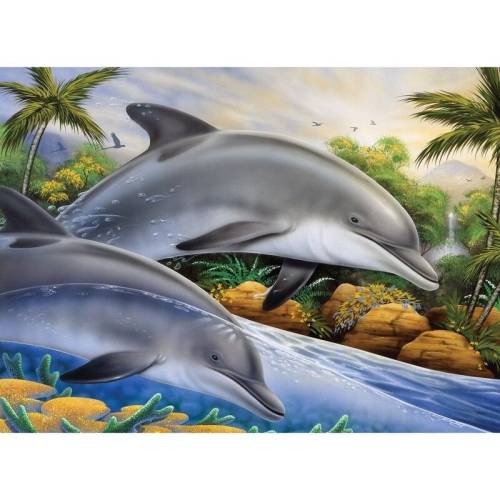 Prima pictura pe numere junior mare - Insula delfinilor