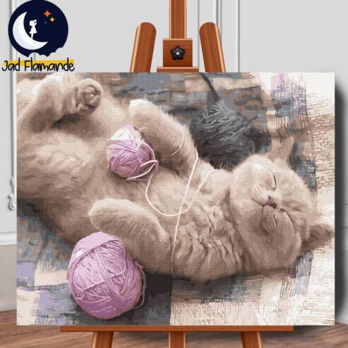 Set pictura pe numere (panza) Pisica somnoroasa 40x50 cm